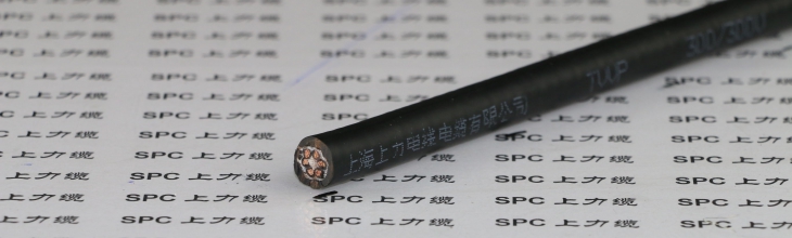 電動(dòng)機(jī)用拖鏈電纜符合倫茨標(biāo)準(zhǔn)   SPCSERVO-LENZE-CHAIN-CP-TPC